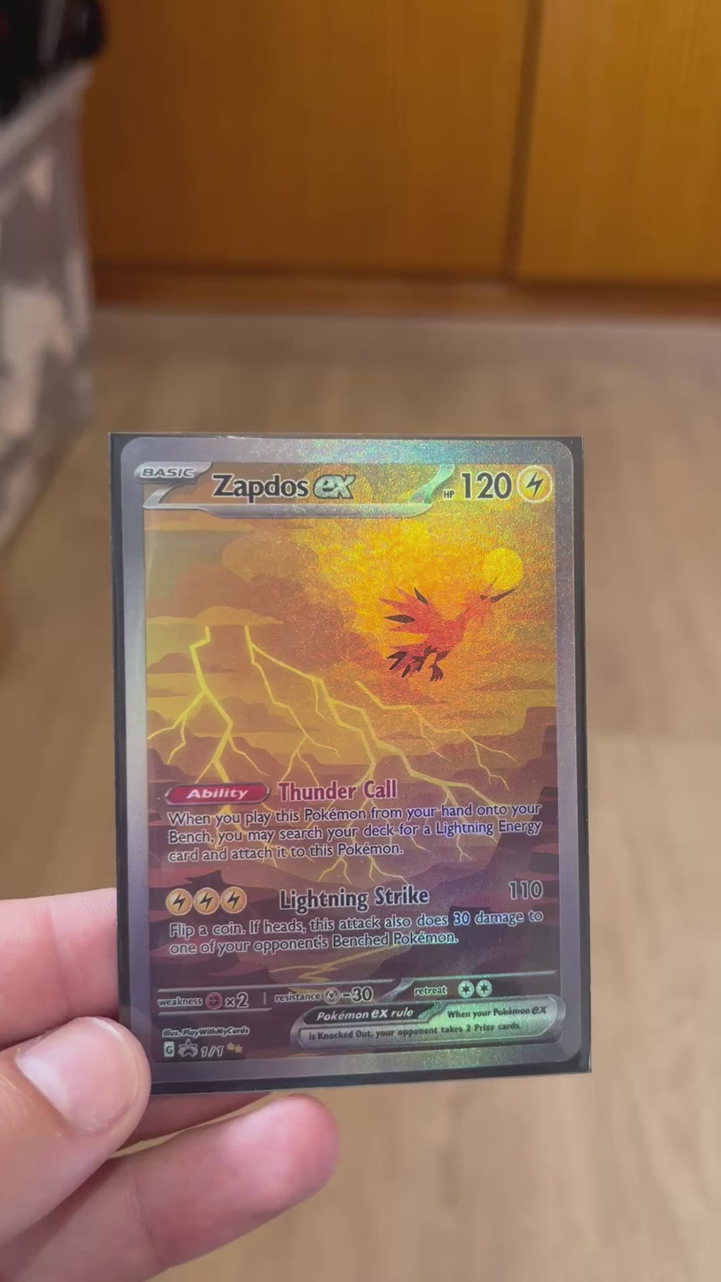 Zapdos Ex